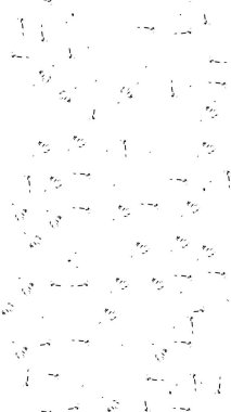 Sert siyah-beyaz dokular. Grunge 'un geçmişi. Soyut doku etkisi. Vektör İllüstrasyonu.