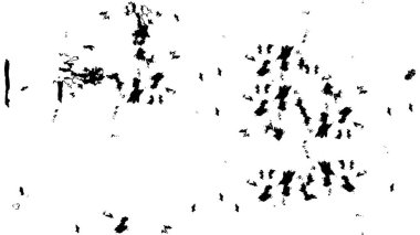 Siyah ve beyaz dokusunda sıkıntılı desen 