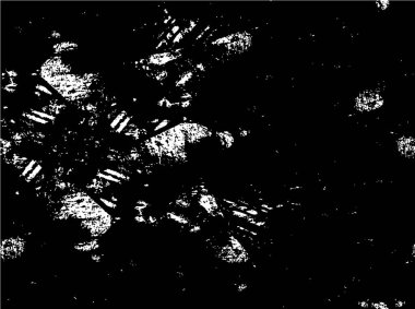 Siyah ve beyaz dokusunda sıkıntılı desen 