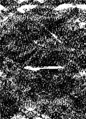Abstract black and white vector background. Monochrome vintage surface with dirty pattern in cracks, spots, dots