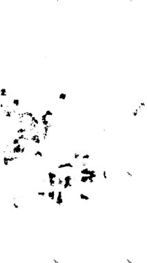 siyah ve beyaz grunge soyut arka plan. vektör illüstrasyonu.         