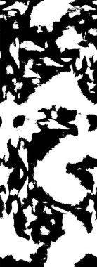 siyah ve beyaz grunge soyut arka plan. vektör illüstrasyonu.         