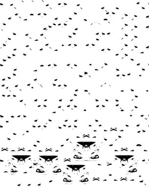 Grunge dokusu. siyah ve beyaz kaba arkaplan.