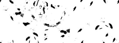 Siyah ve beyaz dokusunda sıkıntılı desen.