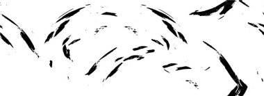 abstract black and white grunge texture background        