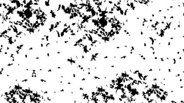 abstract black and white grunge texture background        
