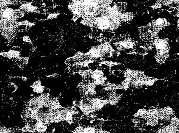 Conception Fond Noir Blanc Avec Des Détails — Image vectorielle