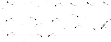 Basit siyah beyaz grunge arkaplanı