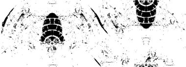 hayal gücünü ateşleyen siyah ve beyaz çizimler