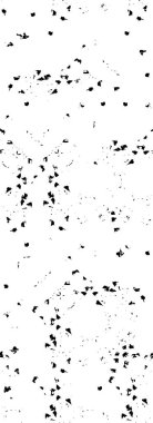 hayal gücünü ateşleyen siyah ve beyaz çizimler