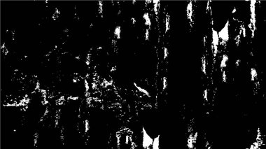 Siyah beyaz bir geçmişi vardı. Yüzeyi çizilmiş duvar kağıdı 