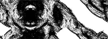 Soyut siyah-beyaz grunge arka planı. Vektör illüstrasyonu