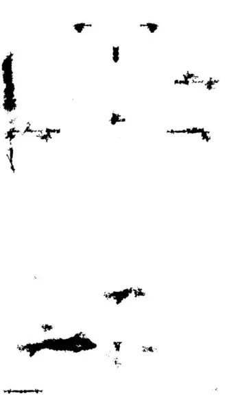 Patrón Texturizado Blanco Negro Fondo Abstracto Con Espacio Copia — Archivo Imágenes Vectoriales
