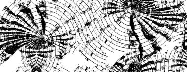 monokrom soyut dokusu. resim siyah ve beyaz tonların efektini içerir