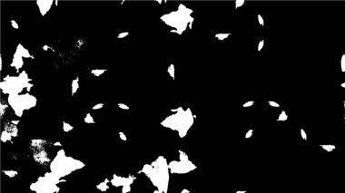 monokrom soyut dokusu. resim siyah ve beyaz tonların efektini içerir