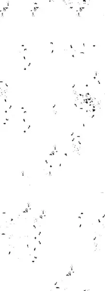 Abstraktes Schwarz Weiß Muster — Stockvektor