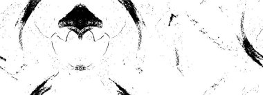 soyut siyah ve beyaz desenli arkaplan