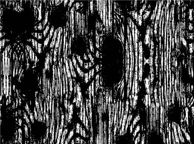 Çatlak kumaşın sıkıntılı örtülü dokusu