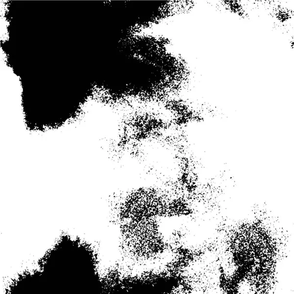 Grunge Black White Texture — Stock Vector