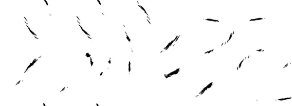 Schwarz Weißes Vektormuster Mit Pinselstrichen — Stockvektor