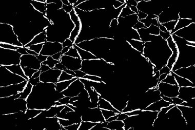 Siyah ve beyaz dokular. Soyut grunge arkaplanı. vektör illüstrasyonu