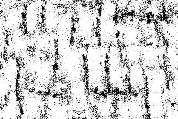 Schwarz Weiß Abstrakte Monochrome Textur Hintergrund Vektorillustration — Stockvektor