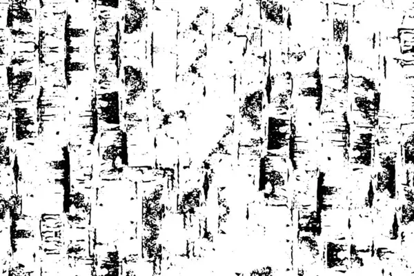 Abstracte Monochrome Grunge Achtergrond Zwart Wit Textuur Vectorillustratie — Stockvector