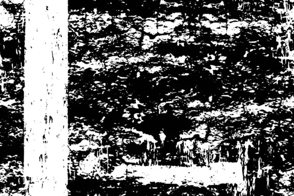 Ilustracja Wektora Czarne Białe Abstrakcyjne Tło Tekstura Grunge — Wektor stockowy