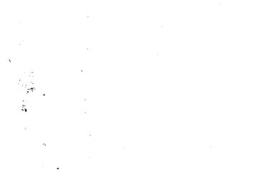 Siyah beyaz desenli, soyut arkaplan, kopyalama alanı        