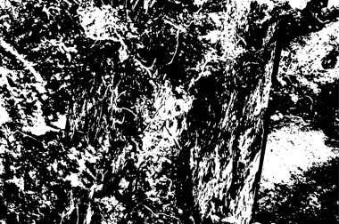 metin veya resim için alanı olan grunge arkaplanı