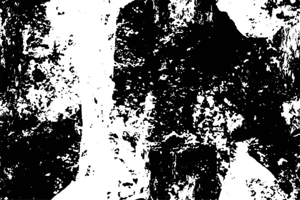 Ein Schwarz Weißer Grunge Hintergrund — Stockvektor