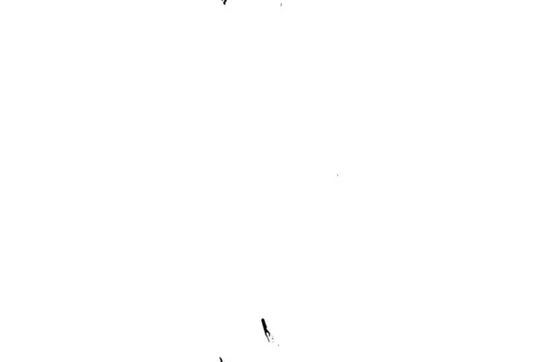 Zwart Wit Textuur Abstracte Grunge Achtergrond — Stockvector