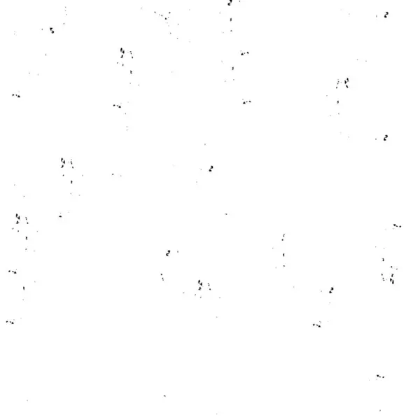 Abstrato Grunge Fundo Cores Preto Branco Ilustração Vetorial — Vetor de Stock