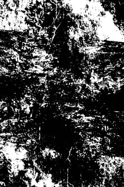 siyah ve beyaz doku, grunge arkaplan, soyut yarım ton vektör çizimi 