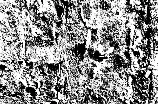 Абстрактний Чорно Білий Текстурований Фон Монохромна Текстура — стоковий вектор