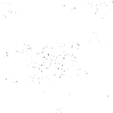  Siyah ve beyaz doku arkaplanı