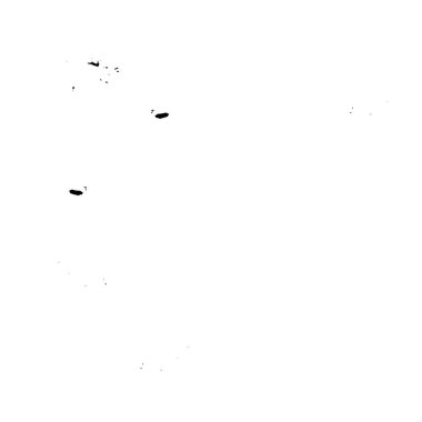 siyah ve beyaz desenli, soyut arkaplan