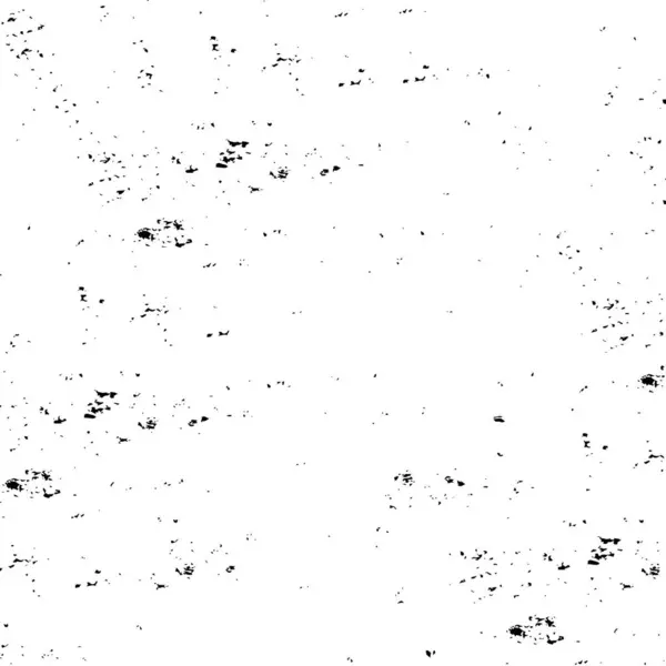 Fond Texturé Noir Blanc Avec Une Texture Rugueuse — Image vectorielle