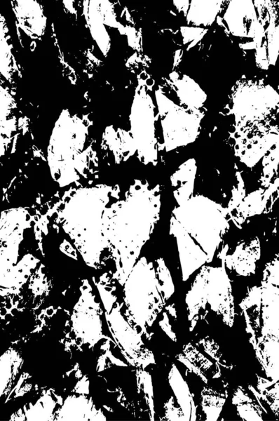 Soyut grunge arkaplanı. Monokrom dokusu. Siyah ve beyaz desenli arkaplan