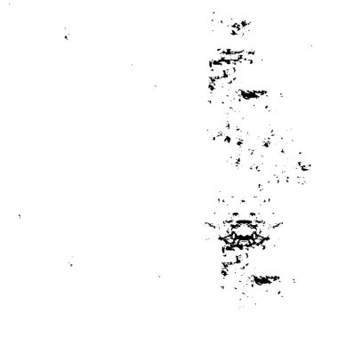 Soyut siyah beyaz arkaplan. Monokrom dokusu. 