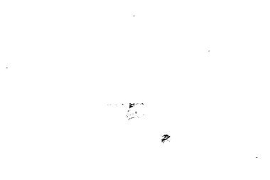  Soyut siyah-beyaz monokrom vektör arkaplanı. Grunge kaplama tabakası. 