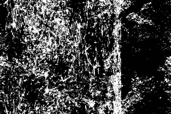 Abstrakt Monokrom Illusion Med Grunge Konsistens — Stock vektor