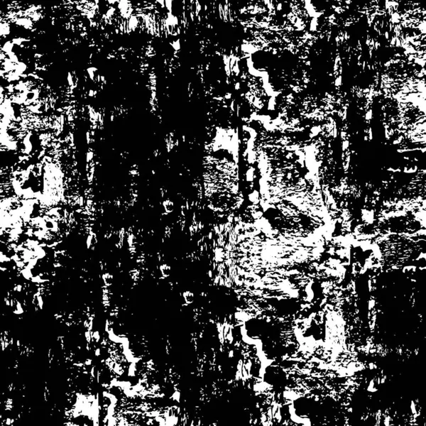 Abstracte Zwart Wit Illustratie Met Grunge Textuur — Stockvector