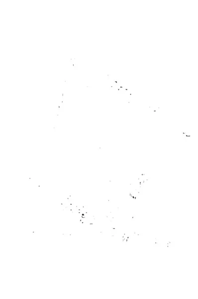 Abstrakte Schwarz Weiß Monochromstruktur Vektorhintergrund Grunge Overlay Ebene — Stockvektor