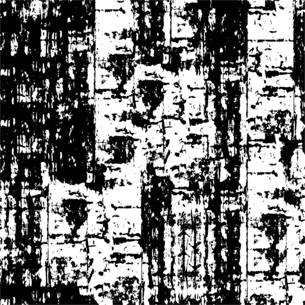 Siyah Beyaz Grunge Illüstrasyon Boyanmış Doku — Stok Vektör
