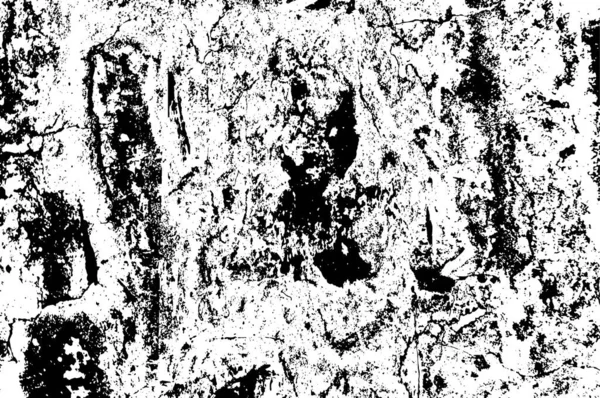 Ilustración Grunge Blanco Negro Textura Pintada — Archivo Imágenes Vectoriales
