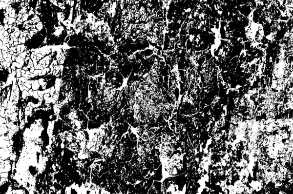 Чорно Біла Гранжева Ілюстрація Брудна Текстура — стоковий вектор