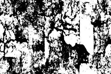 Siyah ve beyaz soyut grunge dokusu, arka plan. Vektör illüstrasyonu 