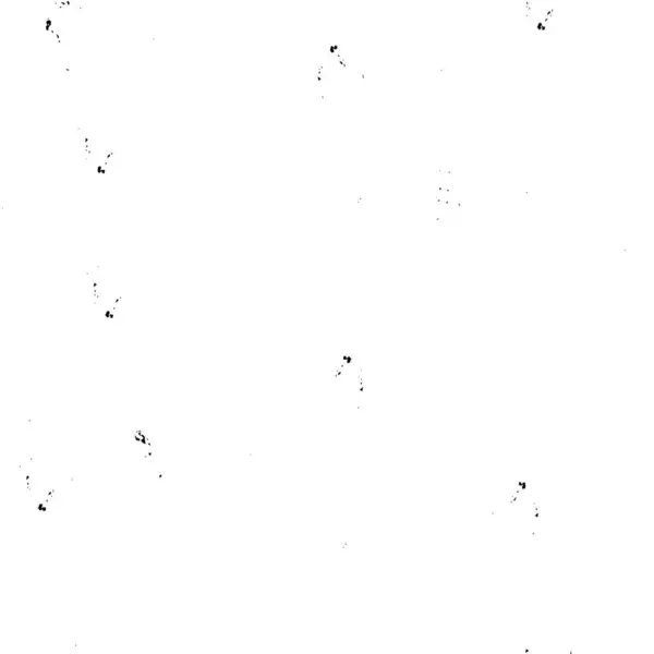 Sort Hvid Abstrakt Grunge Baggrund Tekstur – Stock-vektor