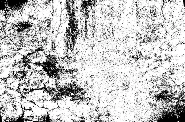 Fondo Textura Grunge Blanco Negro Ilustración Vector Abstracto — Vector de stock